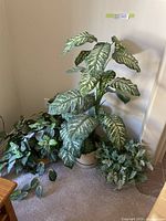 Three faux plants together showing overall size and setting with one tall plant and two smaller ones.