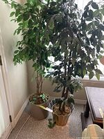 Photo showing two artificial ficus plants side by side, each in a pot. One in a decorative gold-toned fluted planter, the other in a plain tan plastic pot.