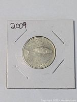 Front view of 2009 fish coin in a protective holder showing fish design and date