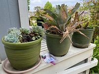 Three green ceramic planters with succulents inside, placed on a white shelf outdoors. One planter has some dried leaves and another appears brighter with less sun exposure.