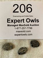 Overview of the three miniature trilobite fossils arranged in a row on a white surface with auction label number 206 visible above them.