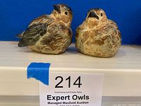 Pair of ceramic bird figurines side by side on a white surface with blue background