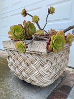 Angled photo showing the planter's basket weave texture, size, and succulent arrangement.