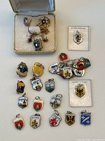Wide view of display box with Masonic pendant and enamel city pins arranged on tray