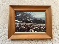 Framed photo print of alpine flower field and mountain peak near Grindelwald, Switzerland.