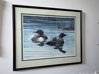 Framed artwork featuring two loons swimming in water, one with a chick on its back, signed by artist.