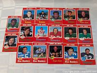 18 cards laid out, full identification