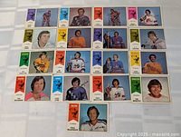 All 21 cards laid out in rows to show fronts and quantity