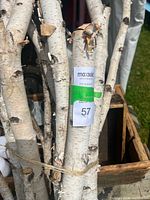Close-up of bundled white birch branches showing bark texture and MaxSold lot tag