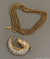 Photo showing the gold-tone long chain necklace with D'Orlan signature tag and crescent moon cat brooch with rhinestones and pearl accents