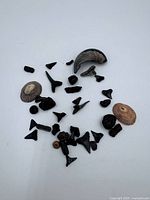 Top view of mixed fossils spread on white background