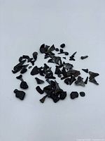 Overview of entire grouping of small fossilized shark teeth on white background