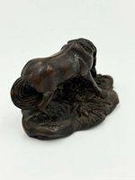 Rear view showing tail, body contour and base texture