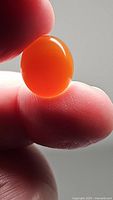 Close-up image of the natural deep orange oval cabochon carnelian gemstone held between fingers, showing its smooth polished surface and vibrant color.
