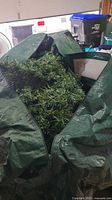 Artificial Christmas tree packed inside a green storage bag, partially visible showing green pine style branches.