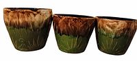 Three Majolica Sunrise jardinieres side by side