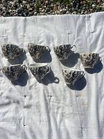 Seven Johnson Brothers teacups with black paisley pattern on white, arranged on white fabric outdoors.