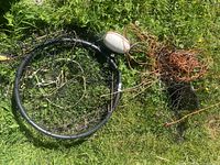 Pair of crab traps laid out on grass, showing circular trap with orange rope and white buoy float.