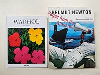 Both books together on white surface, showing cover of 'Warhol' with floral pop art and 'Helmut Newton' with man and sea lion image on dust jacket.