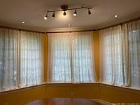 Sheer lace curtain panels installed across multiple windows showing translucent fabric with detailed woven patterns of horses and flora.