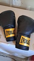 Top view of both black Everlast boxing gloves showing gold wrist logos