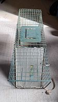 Top view of green wire mesh live animal trap showing access panel and overall size
