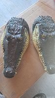 Two molded crocodile heads showing overall condition and texture