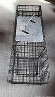 Top view of steel wire live trap showing carry handle and release panel