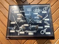 Front view of nautical knots shadow box showing arrangement of labeled rope knots and wooden mounts inside a wood frame with brass corners.