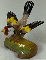 Left-front view showing bird pose, plumage colours and base