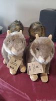 Front view of two identical Sail brand squirrel stuffed animals with tags on red cloth.