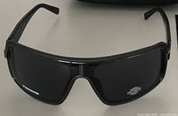 Front view of Harley-Davidson HD1000X sunglasses showing black frame and dark lenses with logos at lens corners.