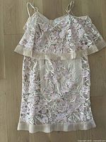 Full view of nude lace dress with pink floral embroidery and pleated trim on hem.