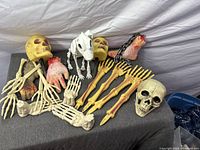 Assortment of skulls, bones, severed limbs and skeletal rat on table