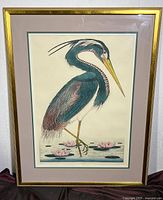 Framed hand coloured etching of a Louisiana Heron with water lilies, showing overall artwork with frame.