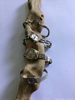 All four wristwatches displayed on wooden stand