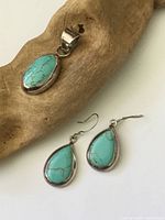 Pendant and earrings on driftwood showing overall design and material