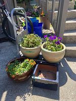 Four ceramic planters with live plants placed on the ground next to a metal dolly cart; planters include beige round, brown round and blue square shapes; dolly is metal with a handle.