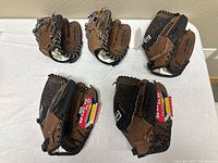 All five Franklin gloves laid out