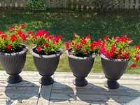 Four identical black plastic pedestal planters on deck, each with red flowers