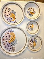 Group view showing plates and bowls with floral pattern