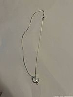 Full view of silver chain necklace with pendant showing the overall length and clasp.