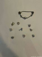 Photo showing the charm bracelet with all nine charms laid out separately around it.