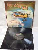 Vinyl record disc with black surface and central label displaying track information for Joe Walsh album.