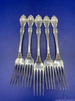 Five Birks Laurentian dinner forks laid out