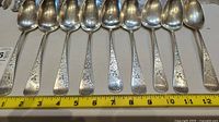 Nine spoons arranged side by side with measuring tape showing length