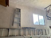 Wide shot of the aluminum step ladder alongside the extension ladder mounted on a wall, showing relative sizes and condition.