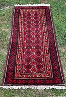 Full view of hand-knotted Persian Baluch rug laid on grass