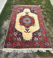 Full view of the rug laid flat outdoors showing overall design, colors, and fringed ends