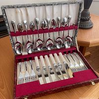 Open case showing full cutlery set layout